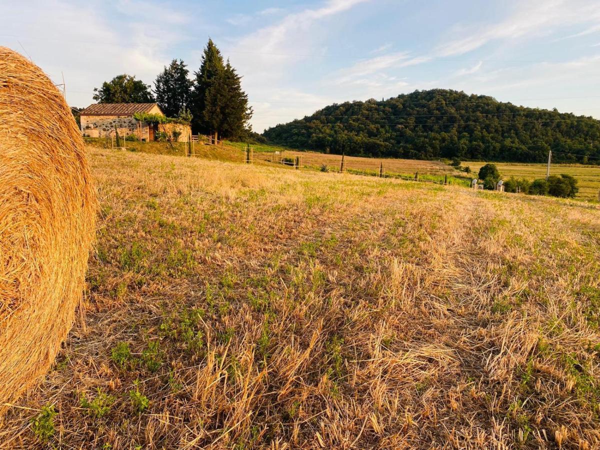 Podere La Selva Rapolano Terme Exterior photo