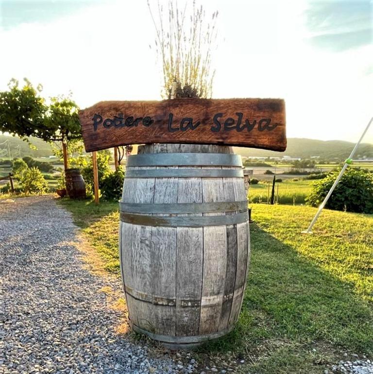 Podere La Selva Rapolano Terme Exterior photo